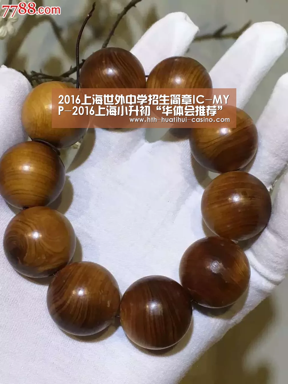 2016上海世外中学招生简章IC-MYP-2016上海小升初“华体会推荐”(图2) 华体会网站