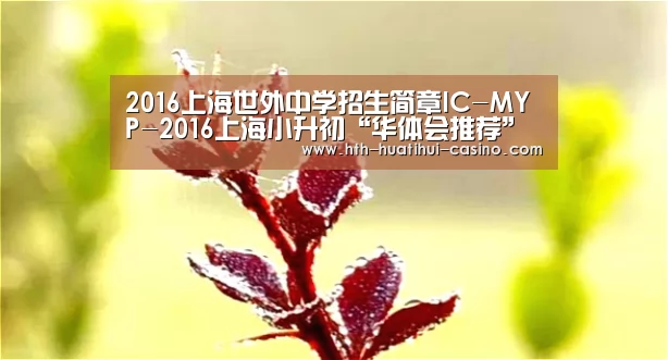2016上海世外中学招生简章IC-MYP-2016上海小升初“华体会推荐”(图3) 华体会平台
