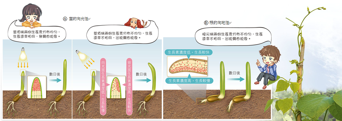 华体会推荐