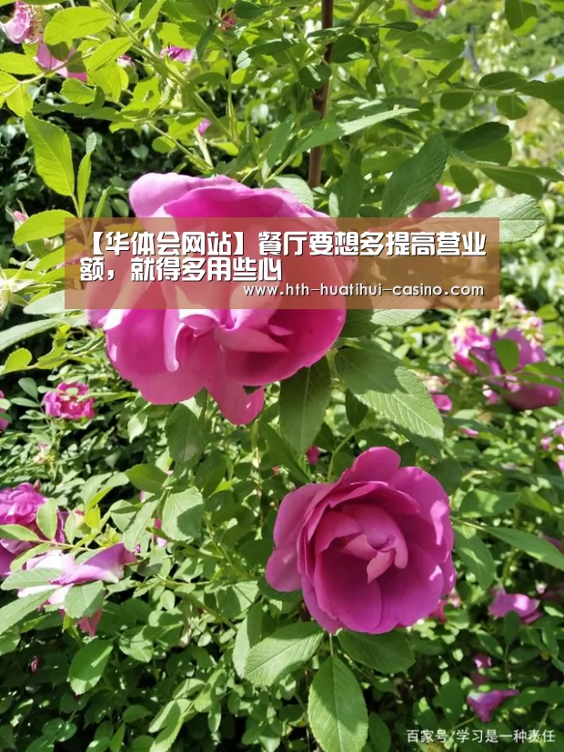 【华体会网站】餐厅要想多提高营业额,就得多用些心(图1) 华体会推荐